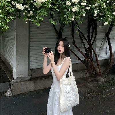 阳光照耀之地