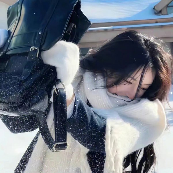 美丽的家